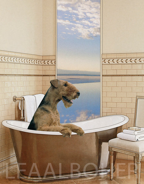 Airedale,  Metal Print