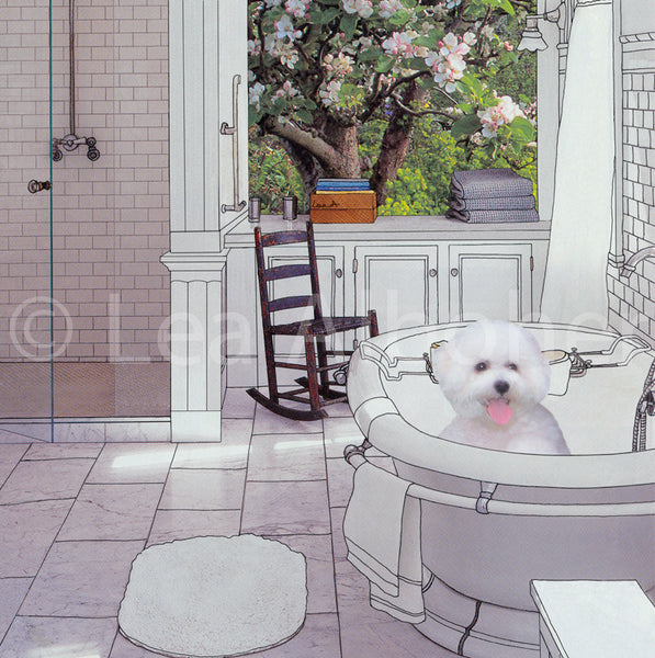 Bichon Frise, Metal Print